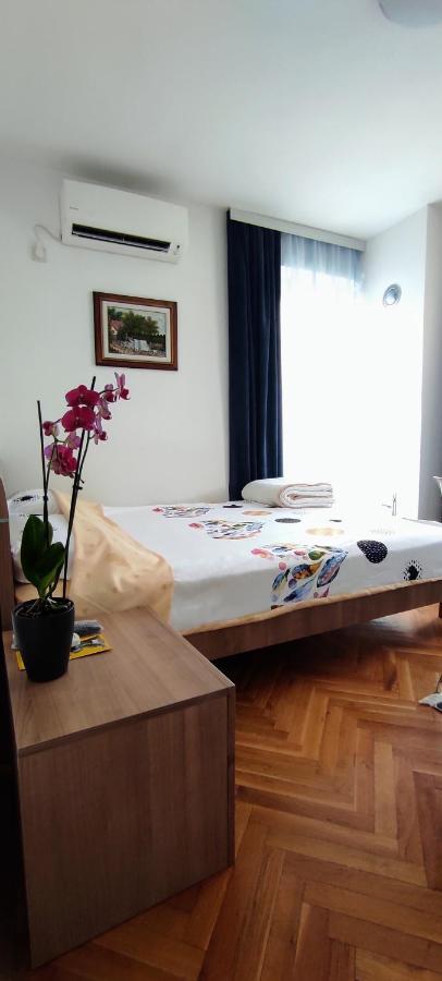 Vila Sentic 弗拉涅 外观 照片