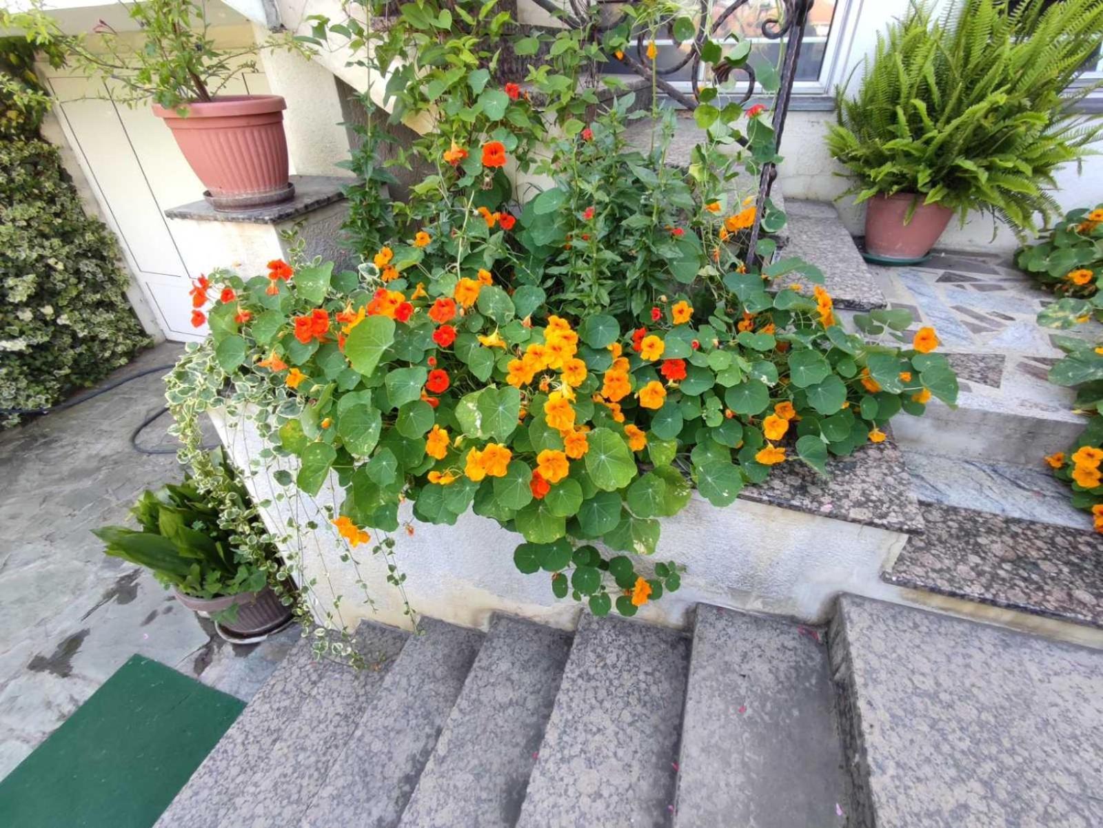 Vila Sentic 弗拉涅 外观 照片
