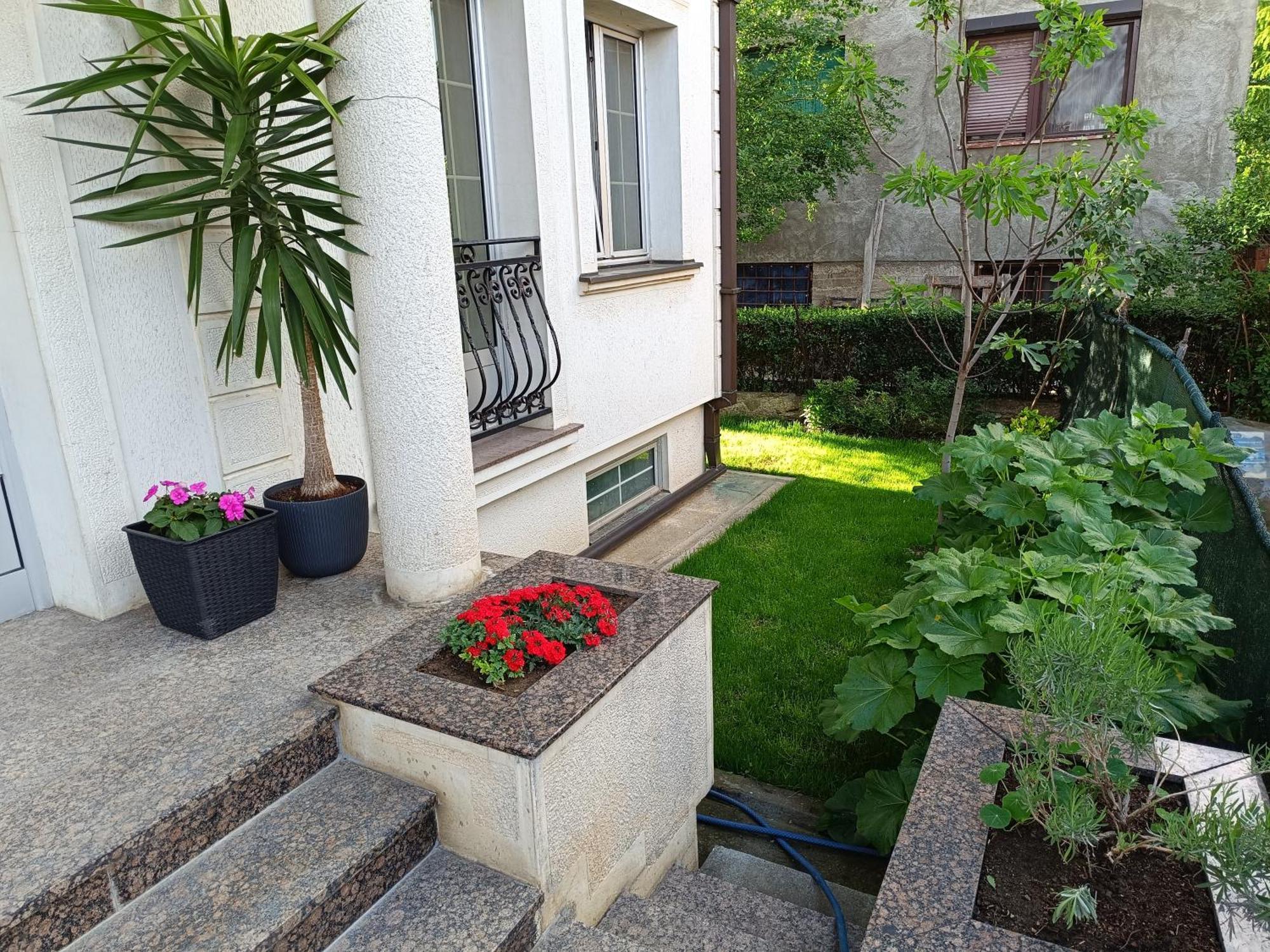 Vila Sentic 弗拉涅 外观 照片