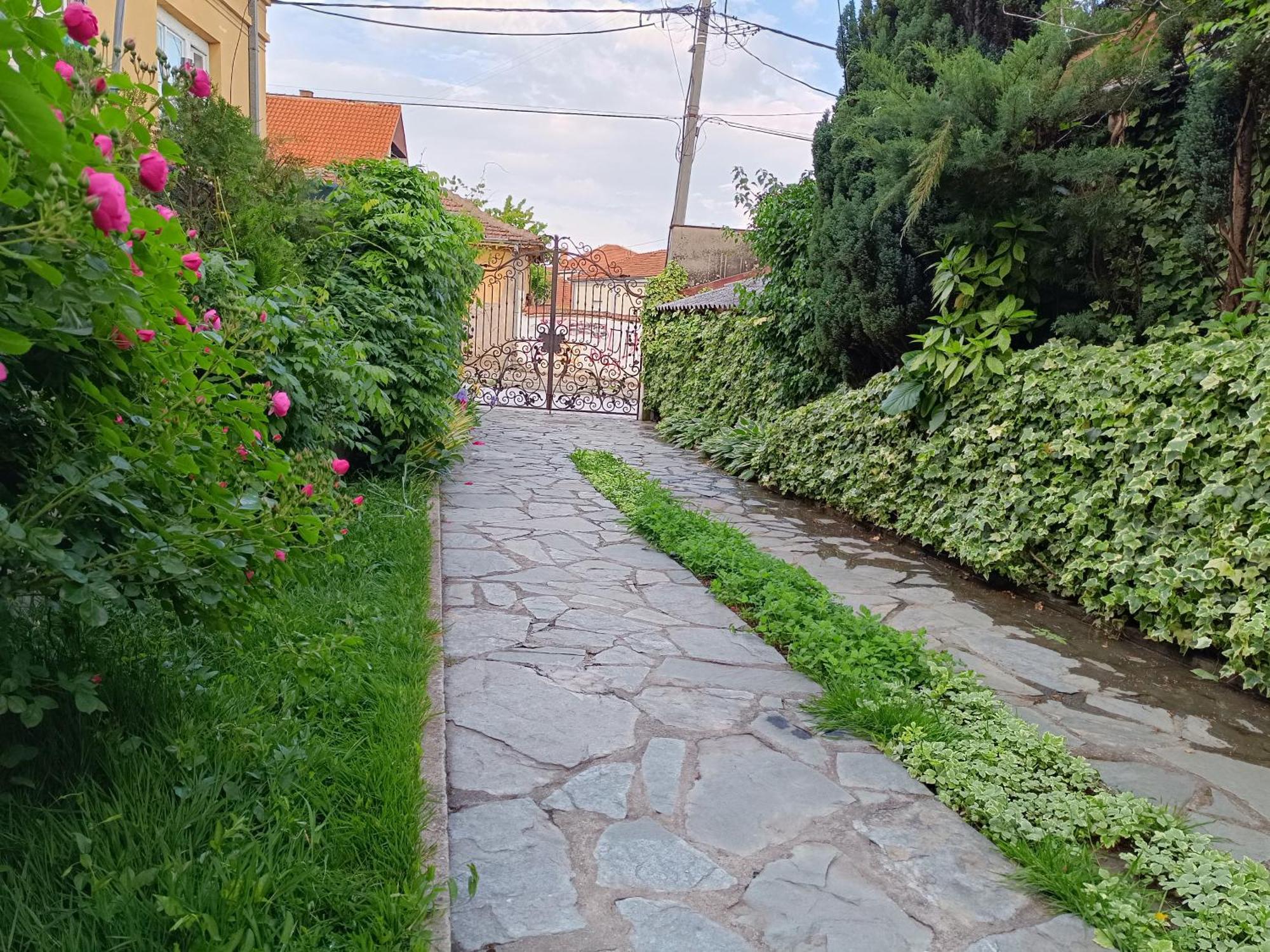 Vila Sentic 弗拉涅 外观 照片