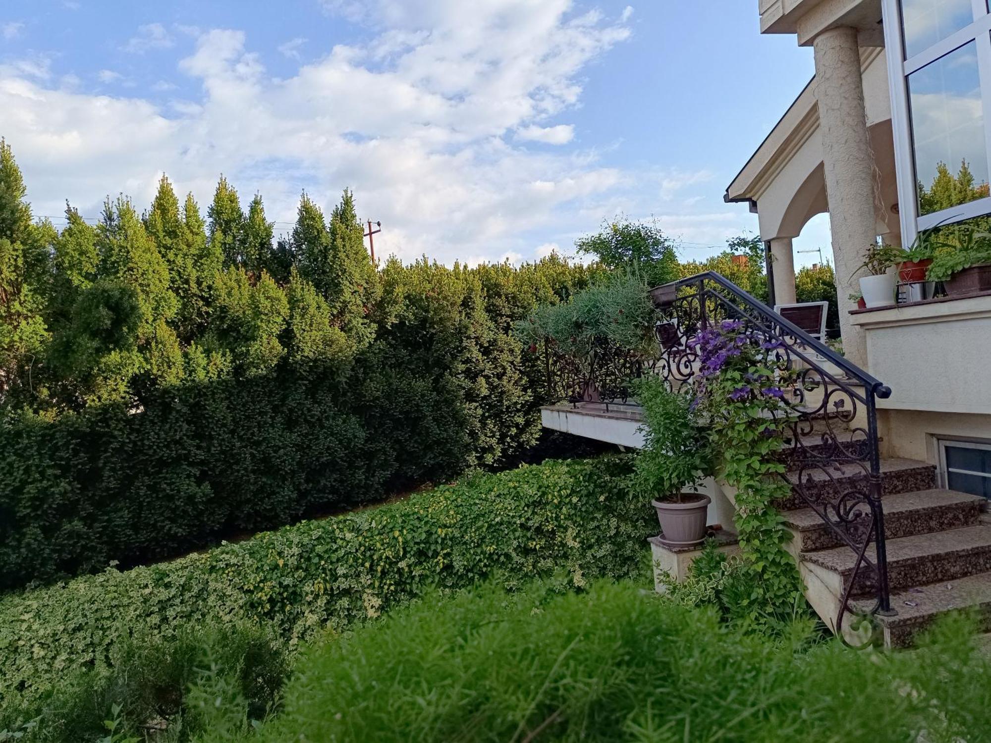 Vila Sentic 弗拉涅 外观 照片