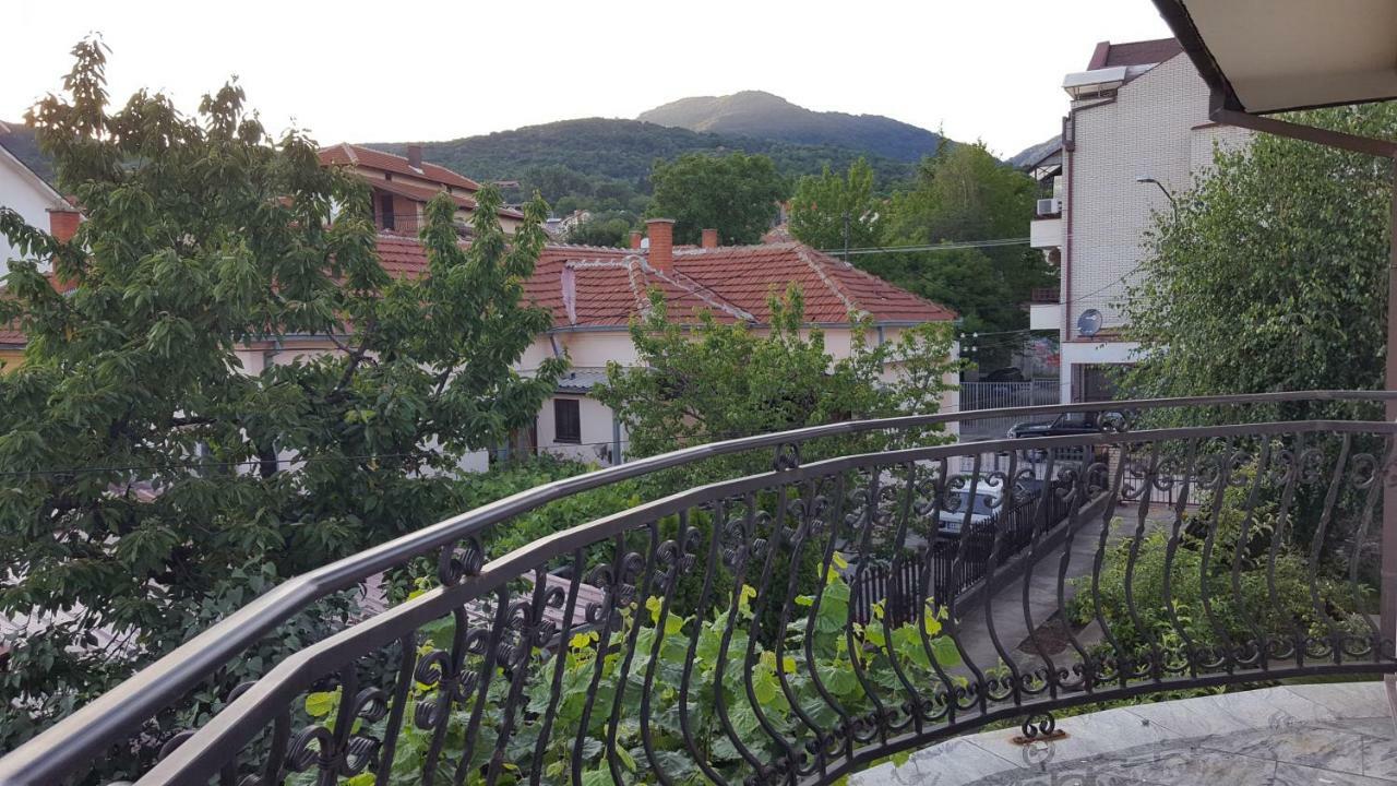 Vila Sentic 弗拉涅 外观 照片