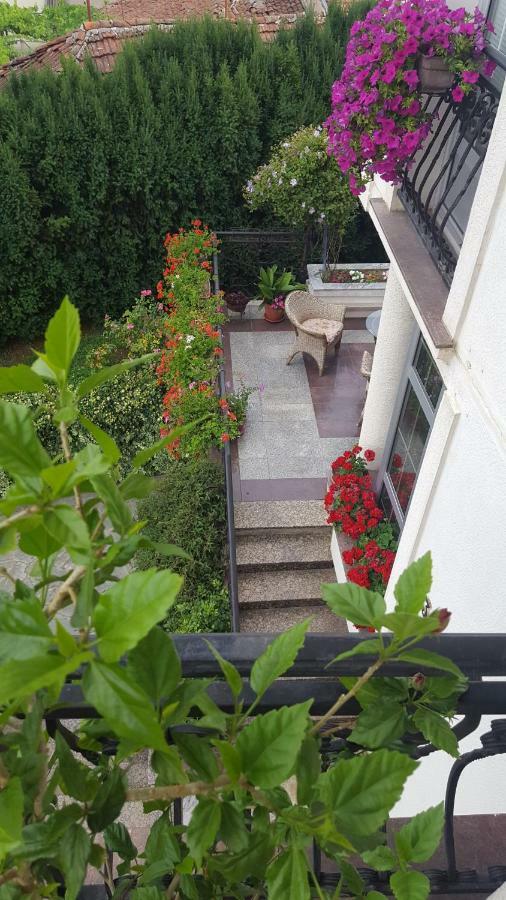 Vila Sentic 弗拉涅 外观 照片