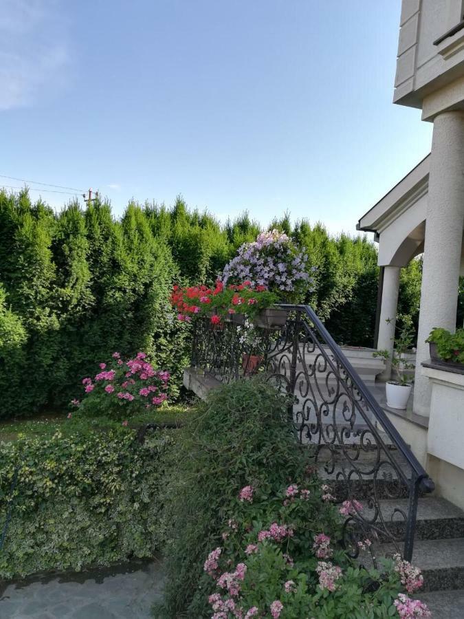 Vila Sentic 弗拉涅 外观 照片