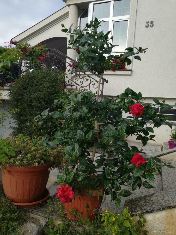 Vila Sentic 弗拉涅 外观 照片